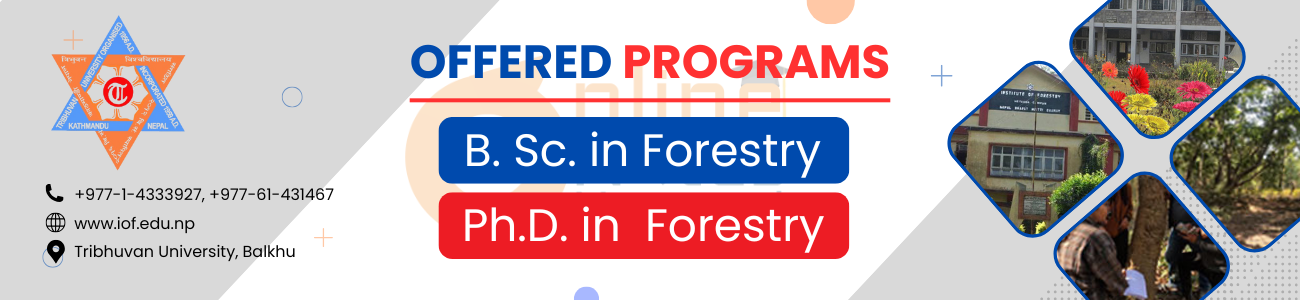 School of Forestry and Natural Resource Management